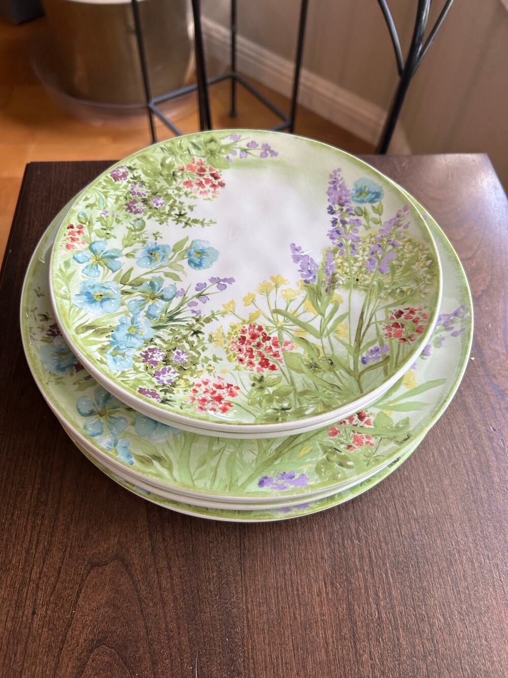 6 Pier 1 Earthenware Botanical Garden Floral Plates wildflower garden